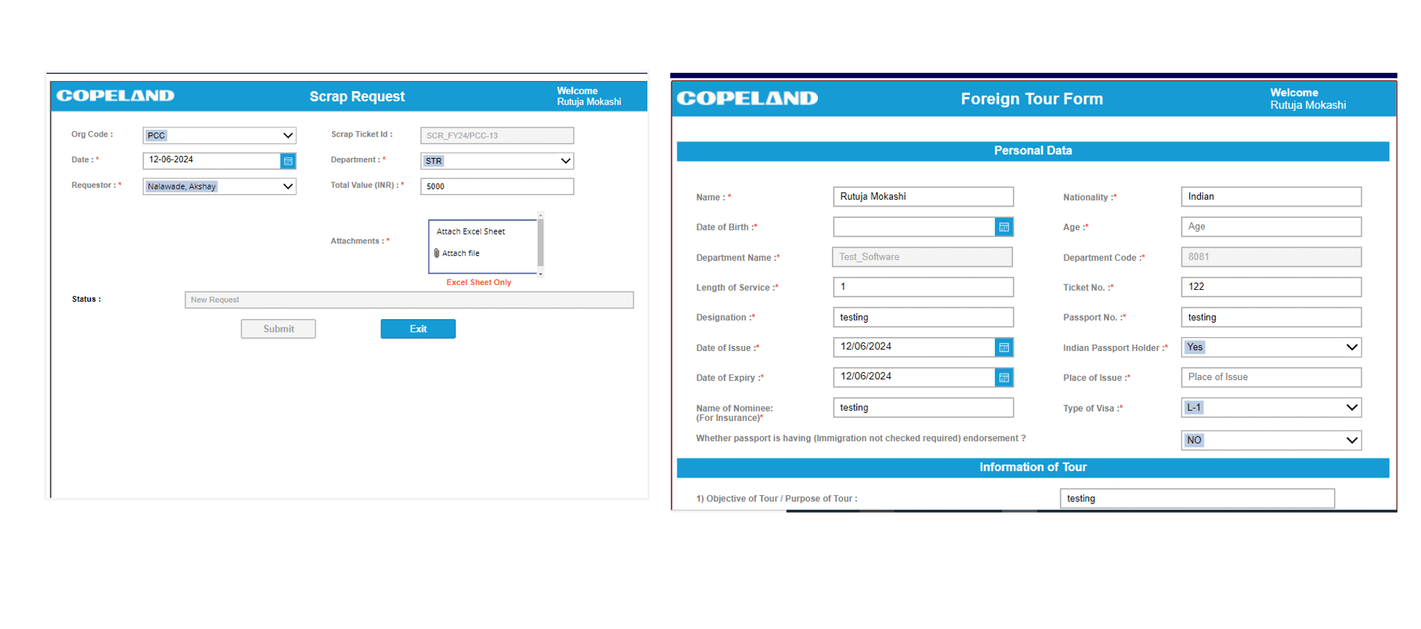 Case study - Emerson Streamlining Workflows with Power Apps Image 4