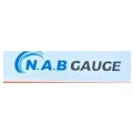 Production Engineer - NAB GAUGE PVT. LTD.