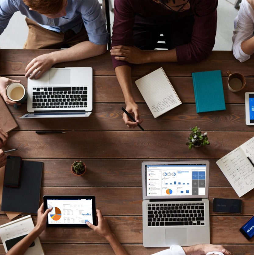 About Zelite Section